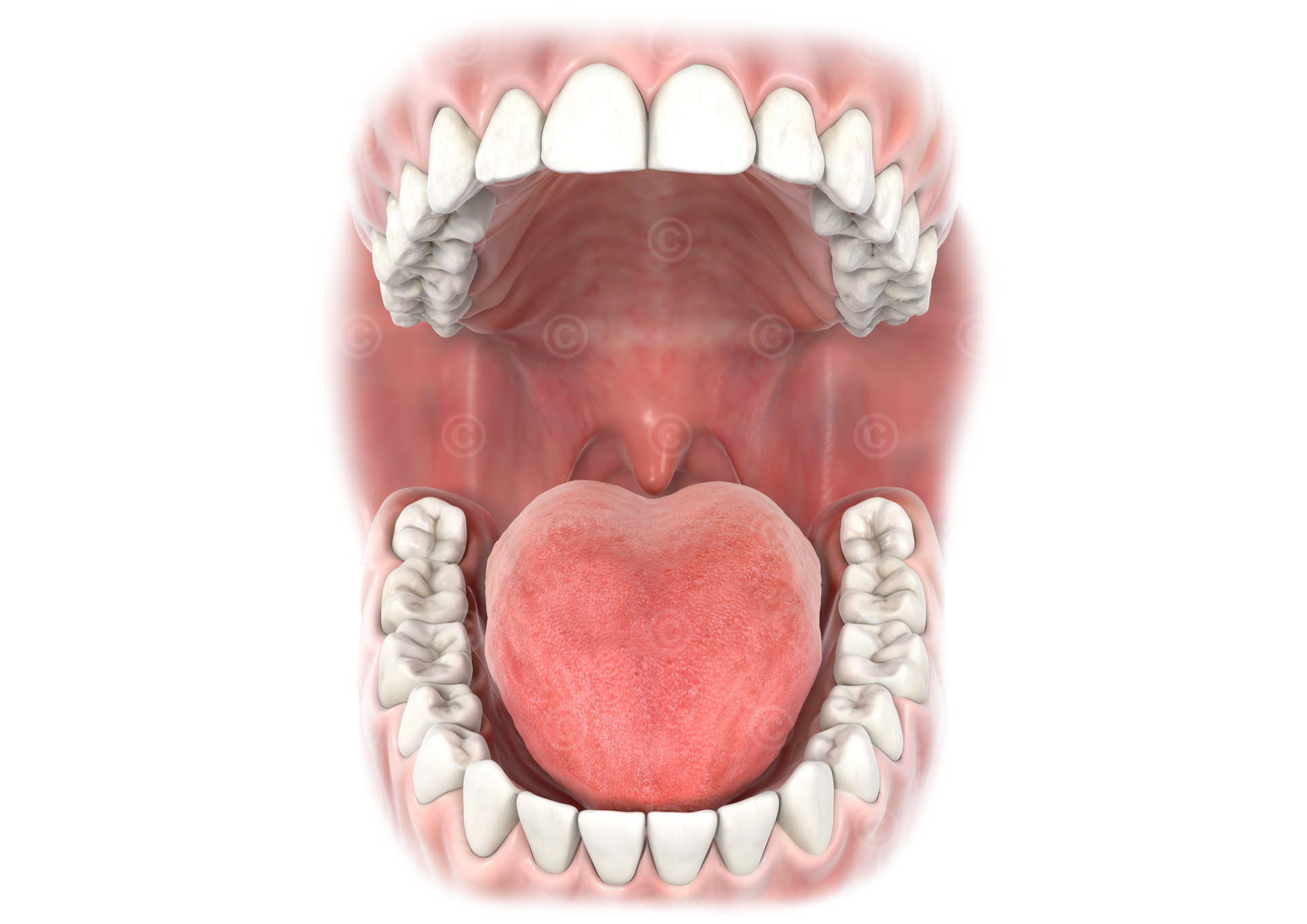 dental-mund-offen-zunge