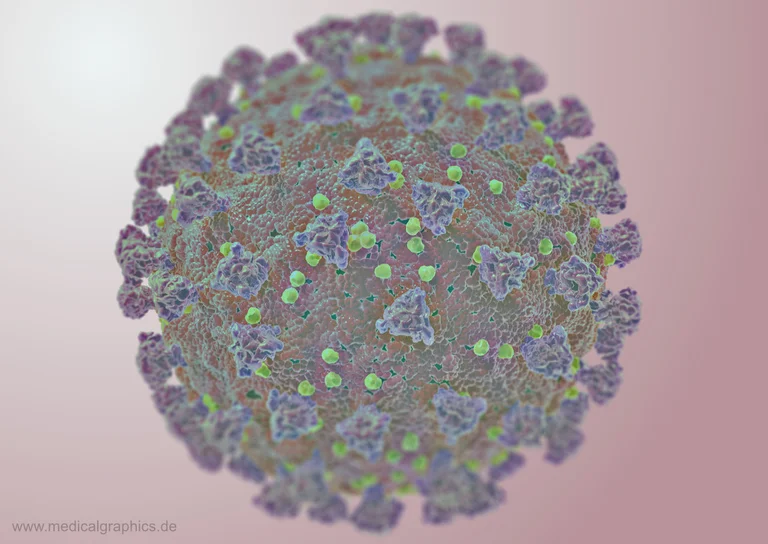 Coronavirus Falschfarben