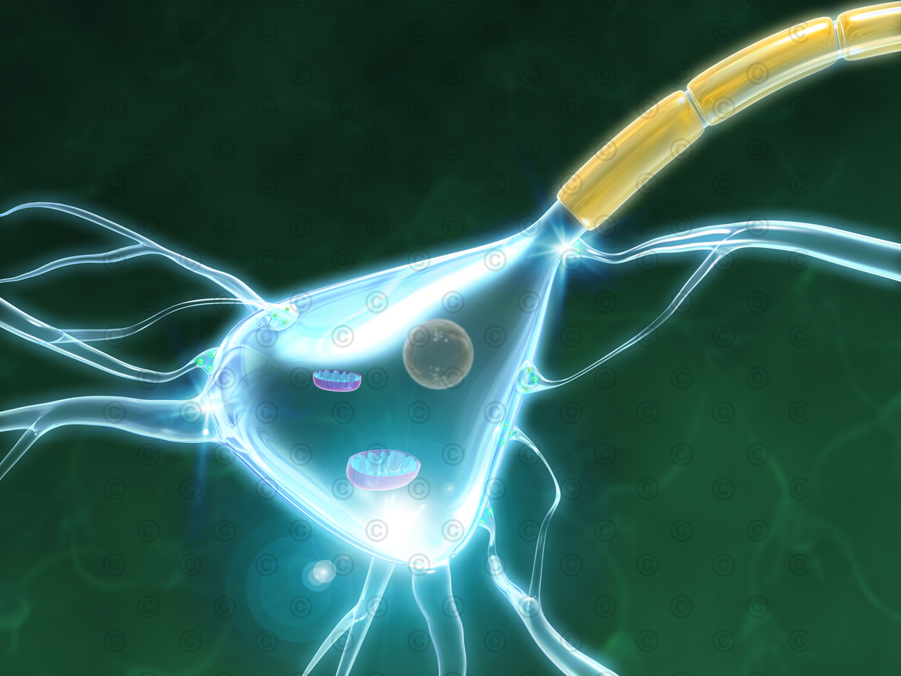Nervenzelle mit Mitochondrien
